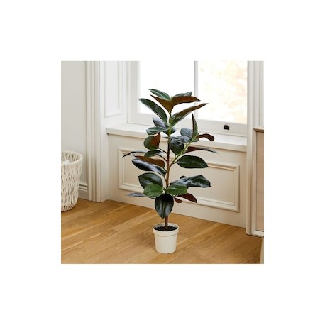 Planta Ficus Rubber Faux