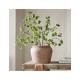 Rama decorativa Faux Potted