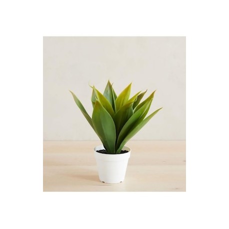 Planta Agave Faux