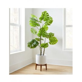 Planta Monstera Faux