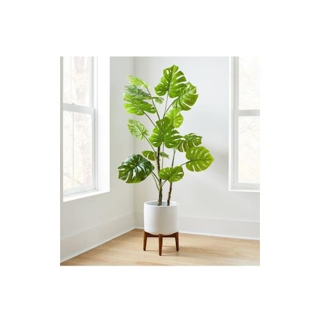 Planta Monstera Faux