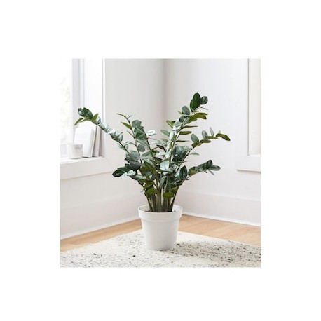 Planta Ficus Faux Potted ZZ
